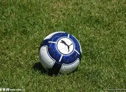 中赫中信股,权架构或变,全力守护国,永利高101net,永利高101net官网,中国永利高101net,永利高101net入口