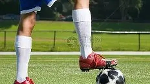 美国会费拖欠致WADA剥夺席位，专家担忧影响盐湖城冬奥筹备——环球时报