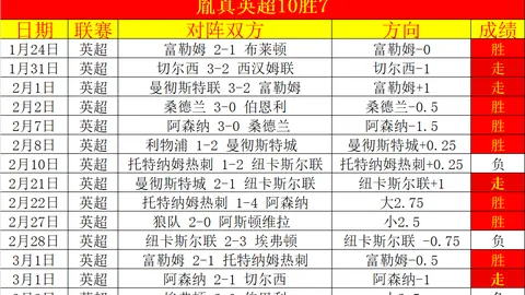 2025年世界杯荷兰视角