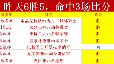 贝沙防守韧性分析：大乐透期号专家推荐解析