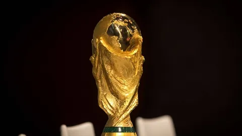 WNBA山猫对决尼日利亚女篮前瞻